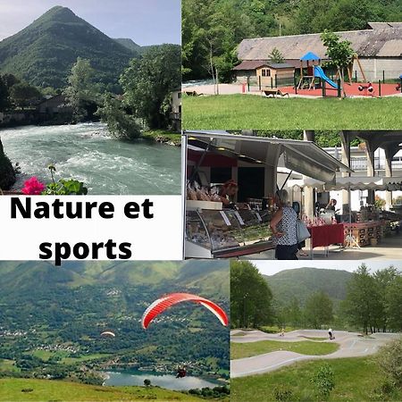 Jolie Maison De Ville En Bord De Neste 8/9 Pers Sarrancolin Kültér fotó